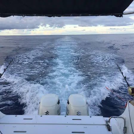 ホテル White Exclusive & 5*