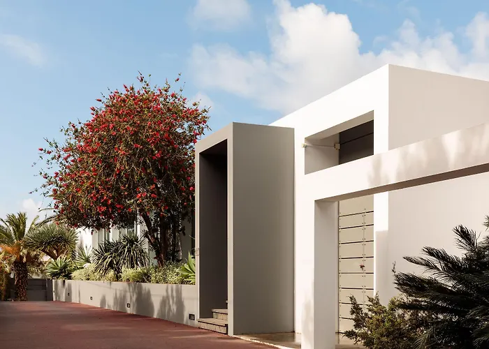 White Exclusive & 호텔