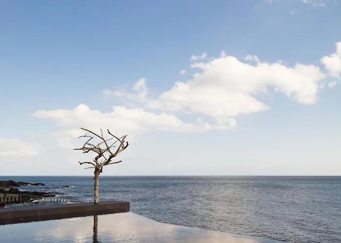 호텔 White Exclusive &